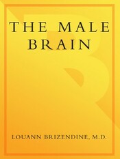 The Male Brain cover